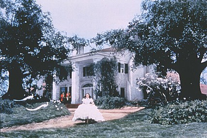 STILLCUT
