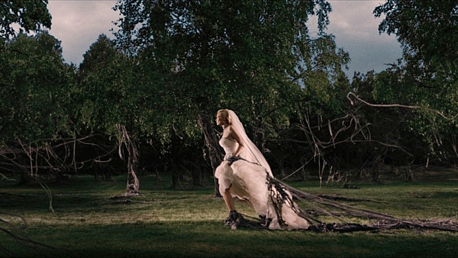 STILLCUT