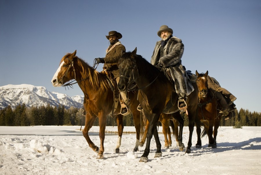 Stephen the poker player django