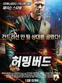 허밍버드 이미지