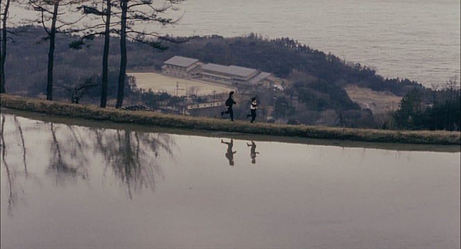 STILLCUT