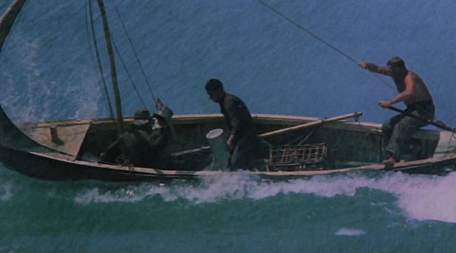 STILLCUT