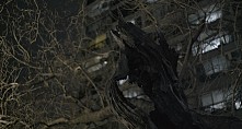STILLCUT