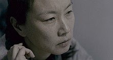 STILLCUT