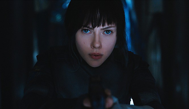 STILLCUT