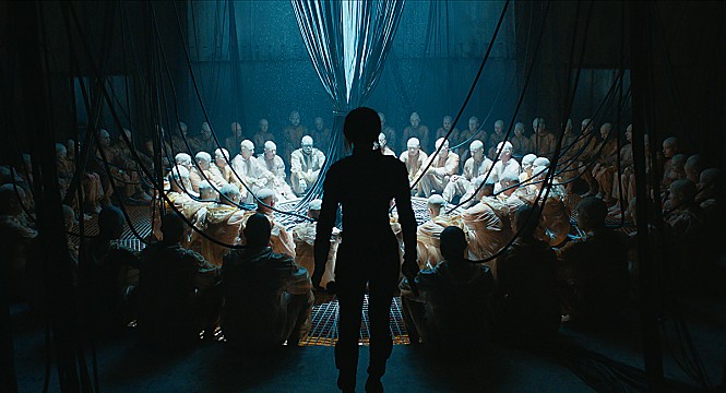 STILLCUT