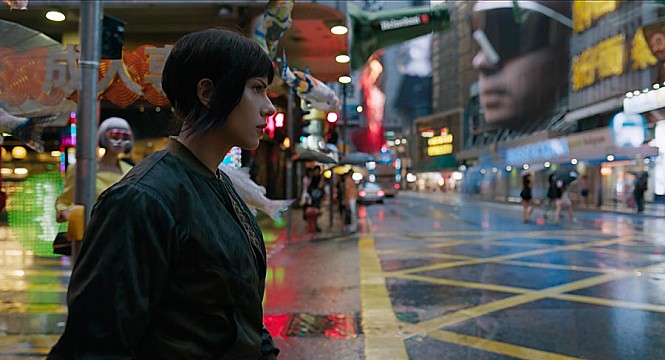STILLCUT