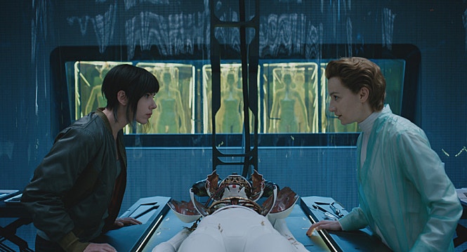 STILLCUT