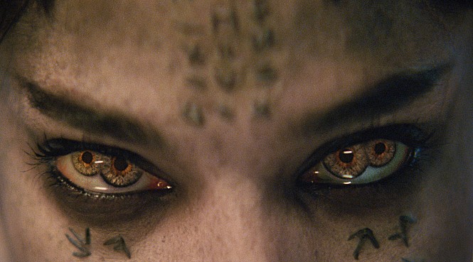 STILLCUT